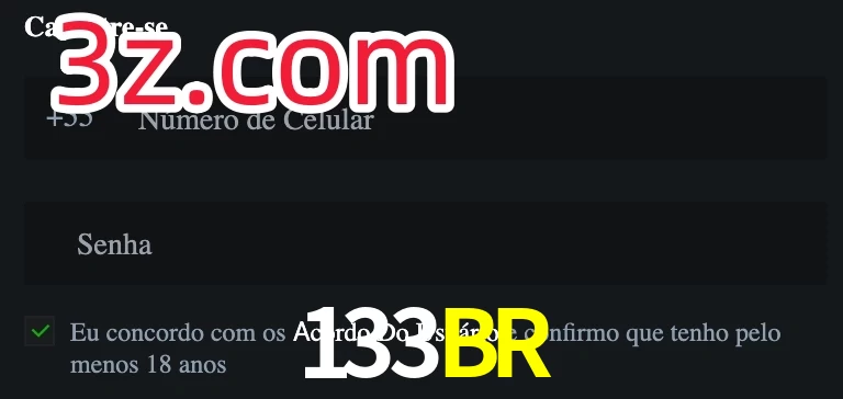 133BR